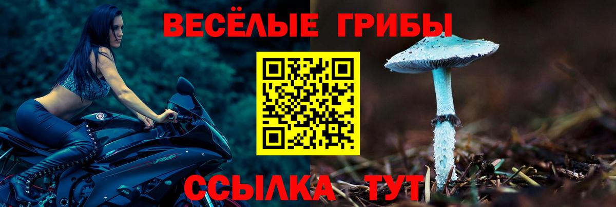 Псилоцибиновые грибы ЛСД Советская Гавань